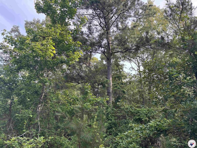 TBD Willie Reed Rd, Jefferson, TX 75657