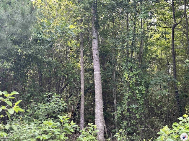 TBD Willie Reed Rd, Jefferson, TX 75657