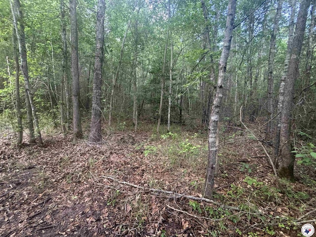 TBD Willie Reed Rd, Jefferson, TX 75657