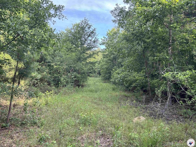 TBD Willie Reed Rd, Jefferson, TX 75657