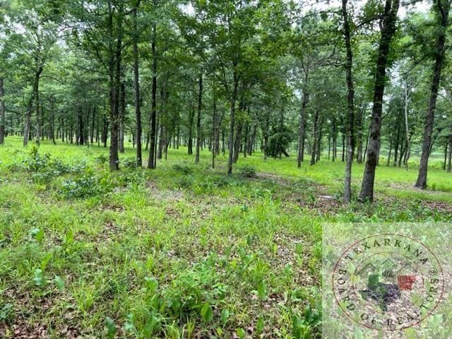 000 S Eagles Way S, Bradley AR, 71845 land for sale