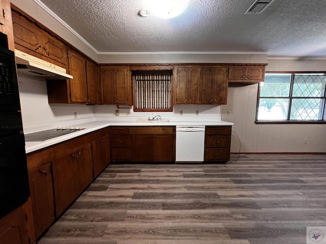 kitchen with white dishwasher, sink, black electric stovetop, a textured ceiling, and ornamental molding