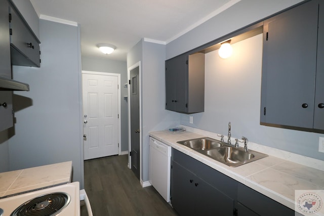 kitchen featuring white dishwasher, sink, dark hardwood / wood-style floors, and crown molding