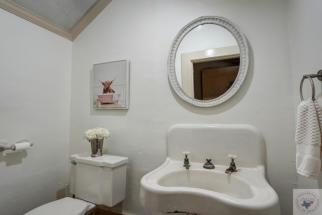 half bathroom featuring ornamental molding and toilet