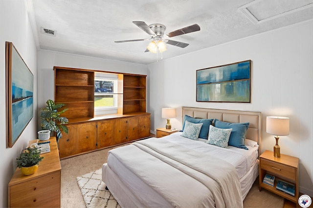 417 Carroll Ave, Wake Village, TX 75501 - photo 9