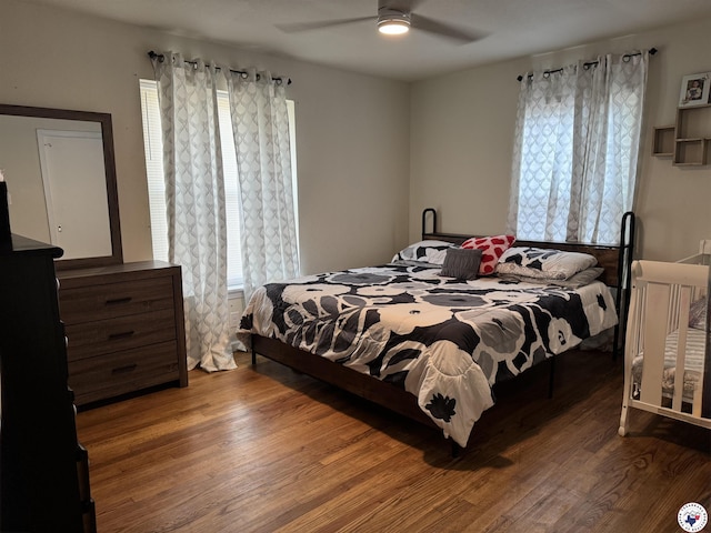 1205 W 40th St, Texarkana, TX 75503 - bedroom featuring multiple windows, wood finished floors, and a ceiling fan