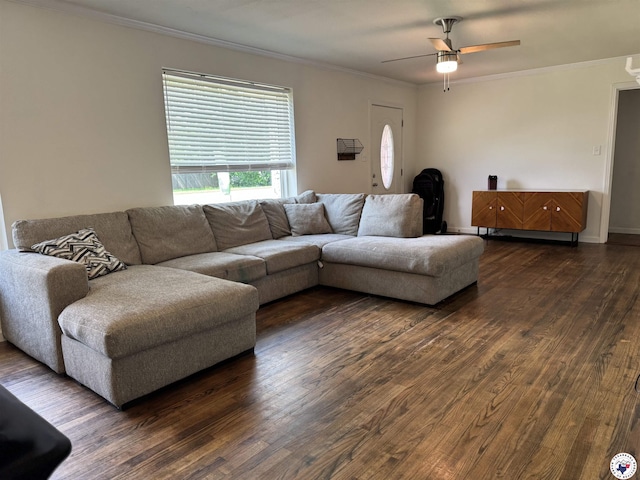 1205 W 40th St, Texarkana, TX 75503 - living area with dark wood finished floors, ornamental molding, and ceiling fan