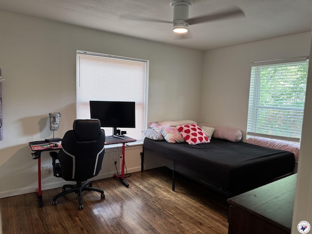 1205 W 40th St, Texarkana, TX 75503 - home office featuring a ceiling fan and dark wood-type flooring