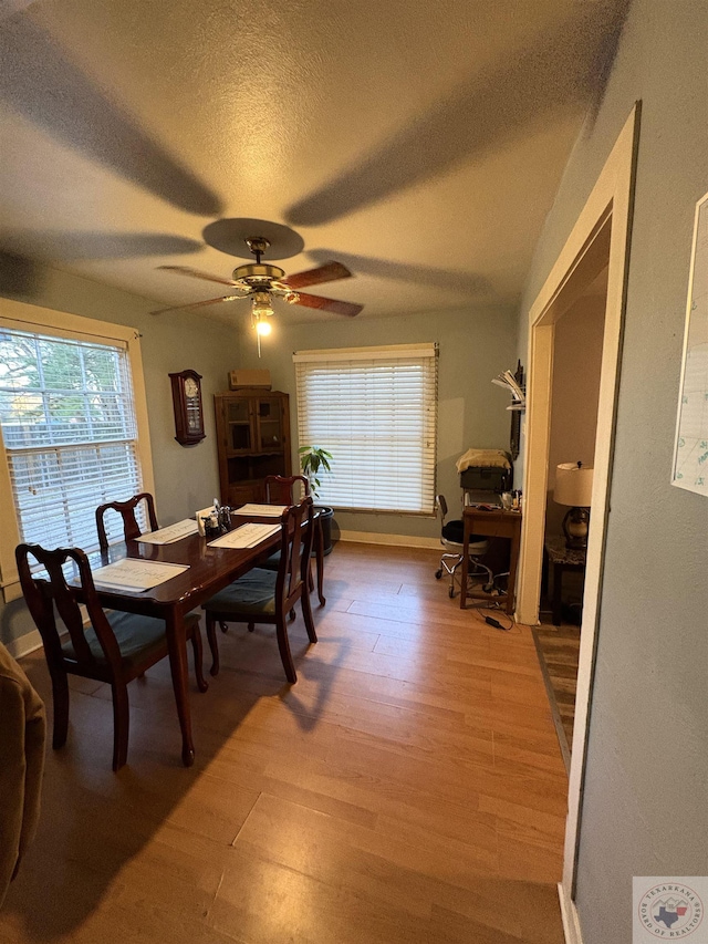 dining room featuring light wood finished floors, a textured ceiling, and a ceiling fan