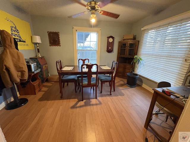 dining room with ceiling fan, light wood-style flooring, and a textured ceiling