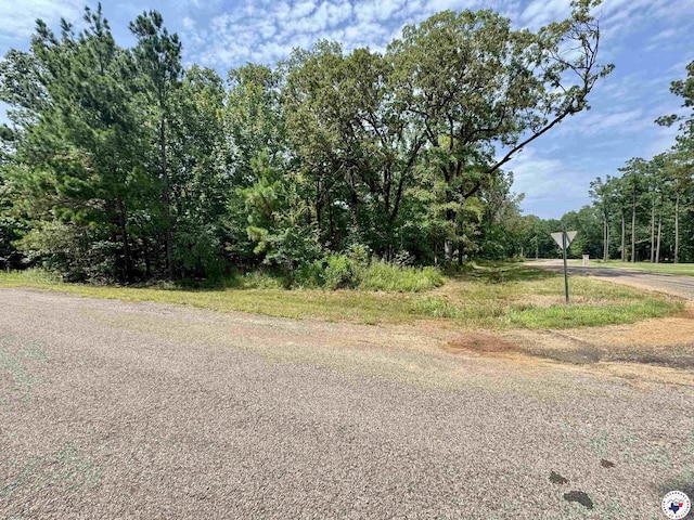 0 Firefly Ln, Texarkana, TX 75503 - photo 8