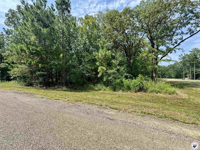 0 Firefly Ln, Texarkana, TX 75503 - photo 1