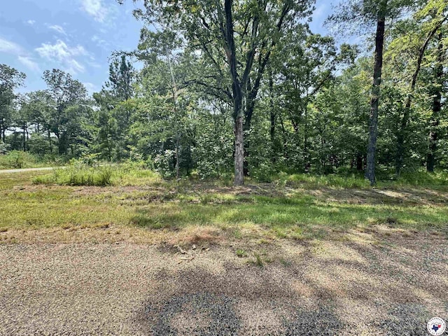 0 Firefly Ln, Texarkana, TX 75503 - photo 10