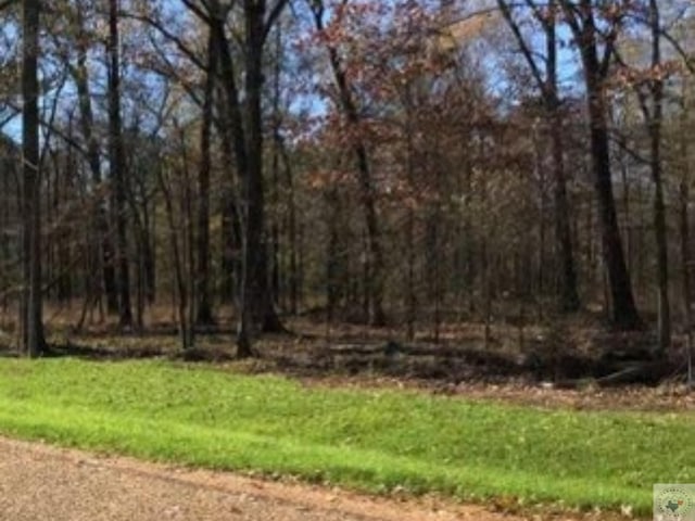 0 Firefly Ln, Texarkana, TX 75503 - photo 2