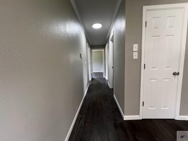 hall with dark wood-type flooring and ornamental molding