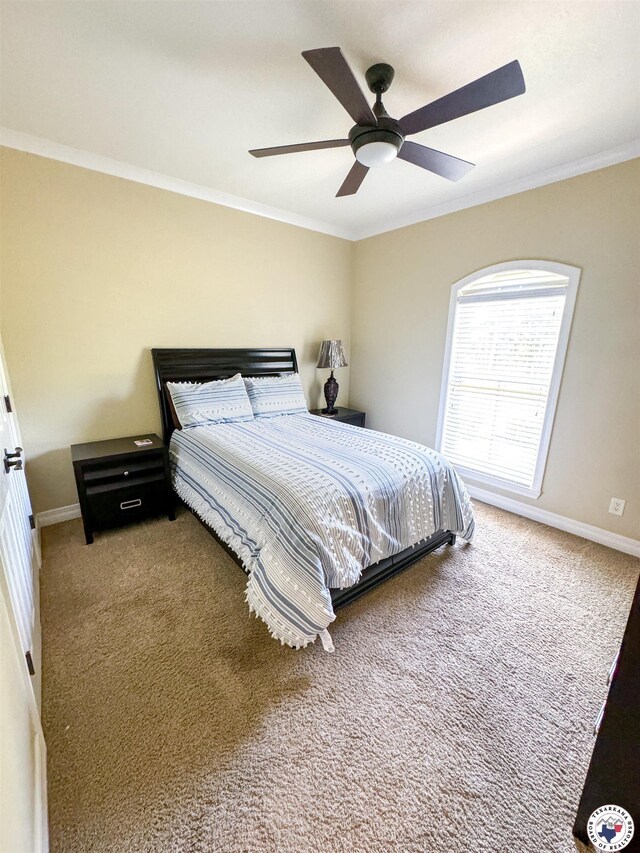 4095 Fm 3129, Bloomburg, TX 75556 - photo 20