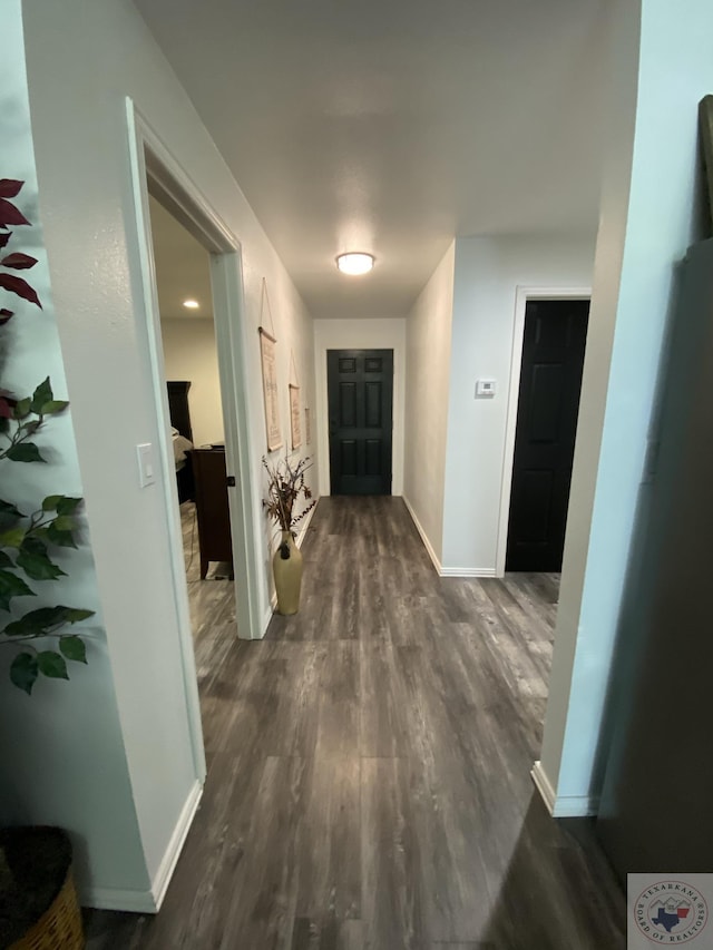 hallway featuring dark wood-type flooring