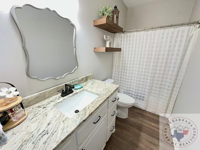 bathroom featuring vanity, hardwood / wood-style flooring, and toilet