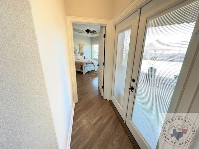 entryway with dark hardwood / wood-style floors