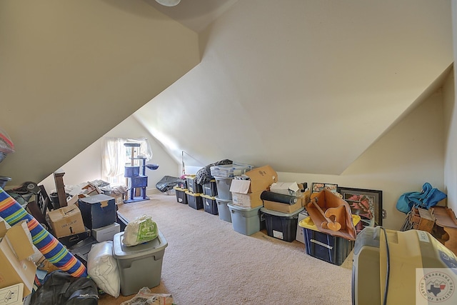 bonus room with carpet and lofted ceiling