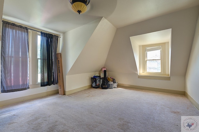 additional living space with carpet flooring