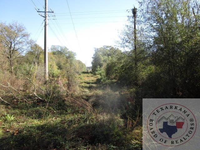 Listing photo 2 for TBD Sherwood Forest Rd, Texarkana TX 75501