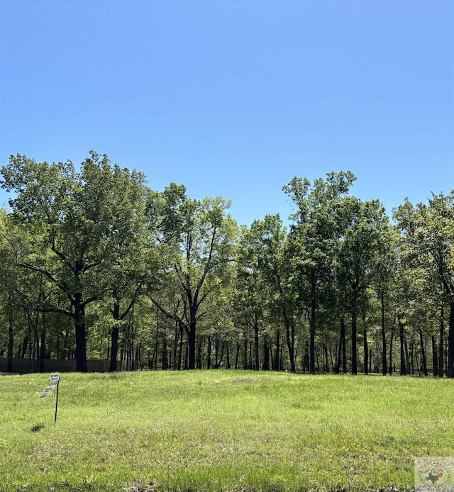 Listing photo 3 for Lot5 River Plantation, Texarkana TX 75503