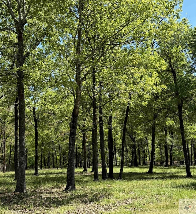 Lot5 River Plantation, Texarkana TX, 75503 land for sale