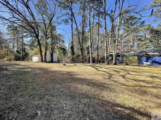 view of yard featuring a storage shed