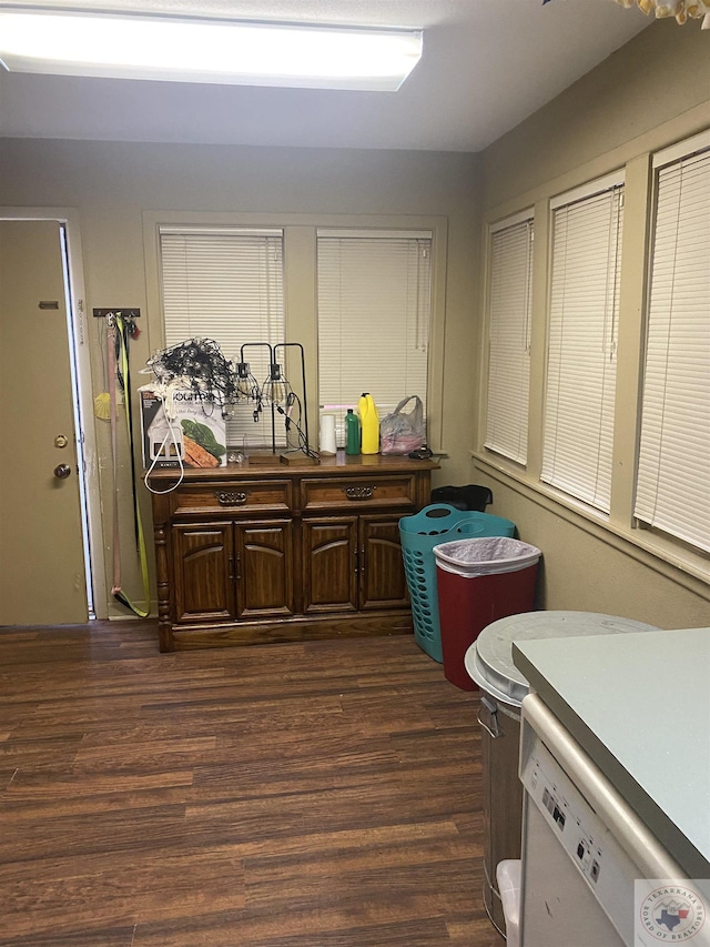 interior space with dark wood-style floors and cabinet space