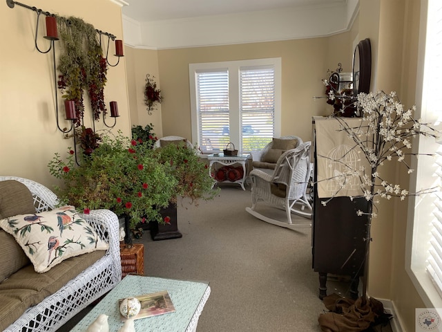 501 Main St, Texarkana, TX 75501 - view of carpeted living area