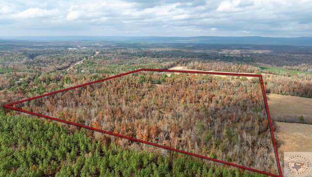484 Old State Highway 4, Smithville, OK 74957 - bird's eye view