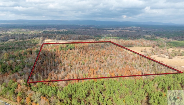 bird's eye view with a mountain view