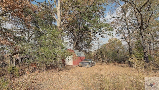 view of yard featuring a shed