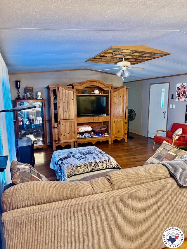 543 Birch St, Maud, TX 75567 - photo 6