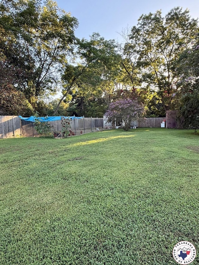 543 Birch St, Maud, TX 75567 - photo 25