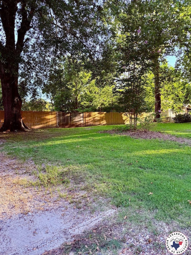 543 Birch St, Maud, TX 75567 - photo 4