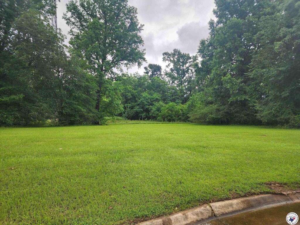 0 Briarwood Cir, Texarkana, TX 75503 - photo 2