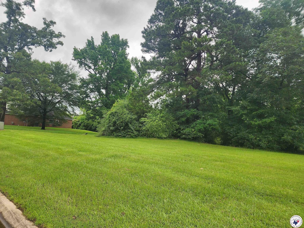 0 Briarwood Cir, Texarkana, TX 75503 - photo 3