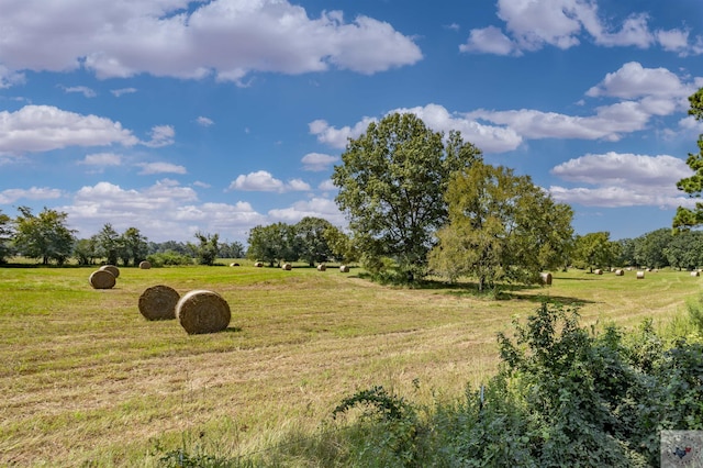 view of local wilderness featuring a rural view