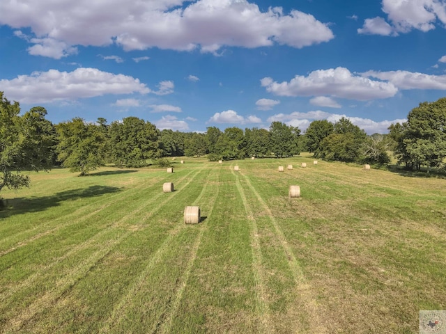 view of yard featuring a rural view