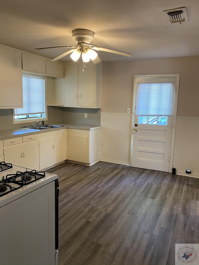 kitchen featuring white cabinets, a wealth of natural light, and dark hardwood / wood-style floors