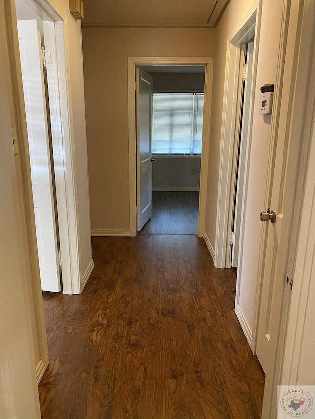 hall with dark hardwood / wood-style flooring