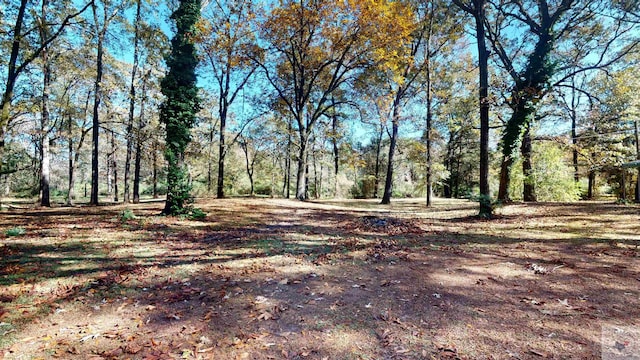 exterior space with a forest view