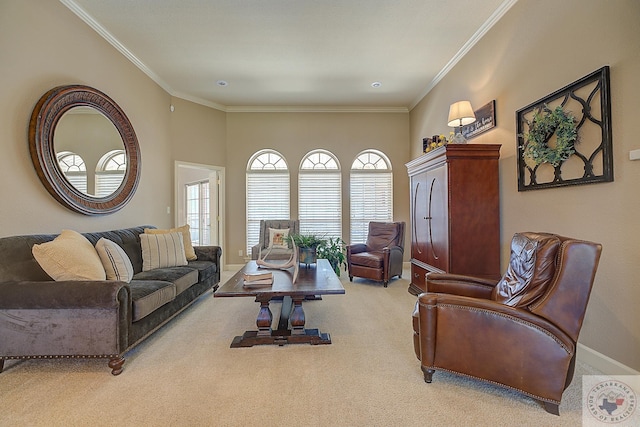 carpeted living room featuring ornamental molding