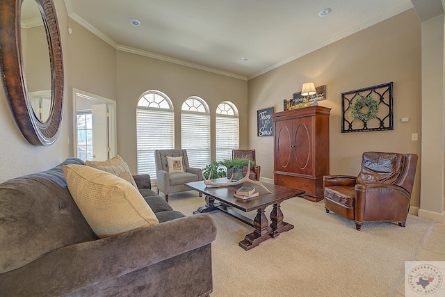 living room featuring crown molding and light colored carpet