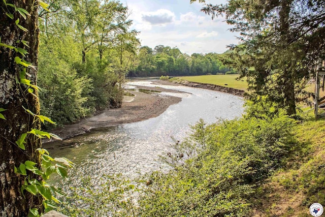 view of property's community with a wooded view