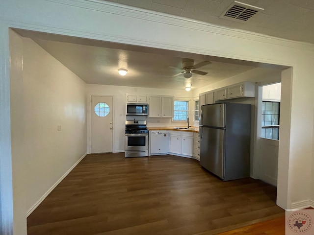 kitchen featuring ceiling fan, sink, white cabinets, dark wood-type flooring, and stainless steel appliances