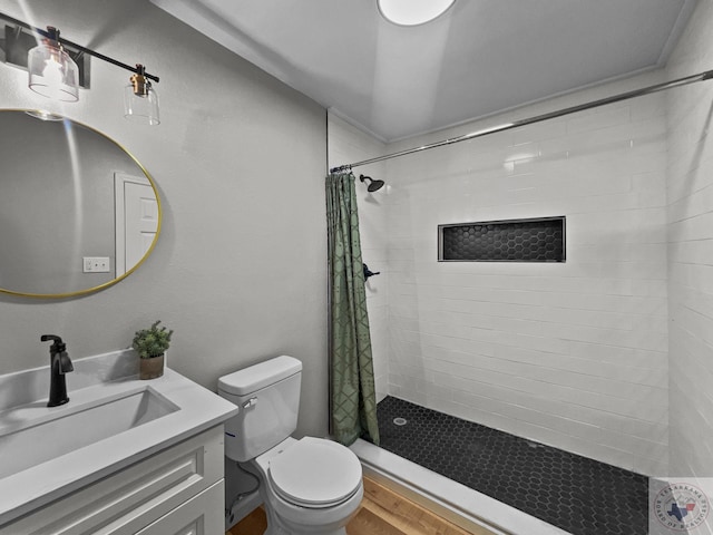 bathroom featuring toilet, vanity, and a shower with curtain