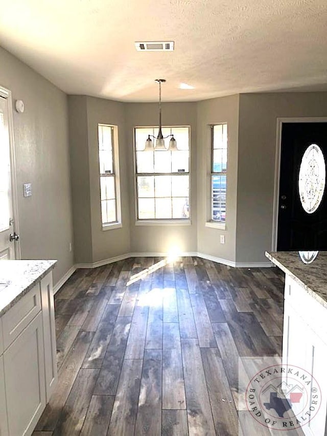 unfurnished dining area with dark wood-style floors, a textured ceiling, plenty of natural light, and baseboards